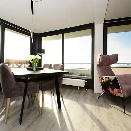 公寓 Haus Bi De Wyk D1a 威克奥夫弗尔